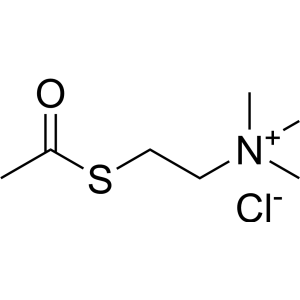 Acetylthiocholine chloride 6050-81-3